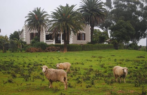 Moorreesburg Maison | Olive Tree Guesthouse