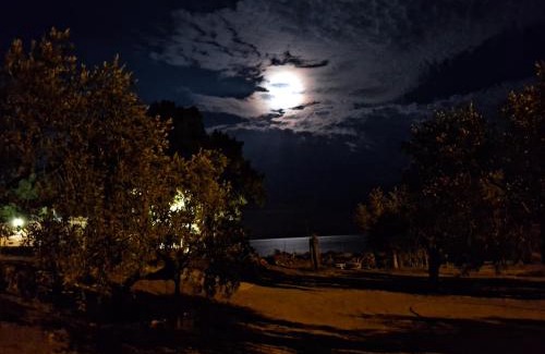 Thasos Appartement | Oliviera