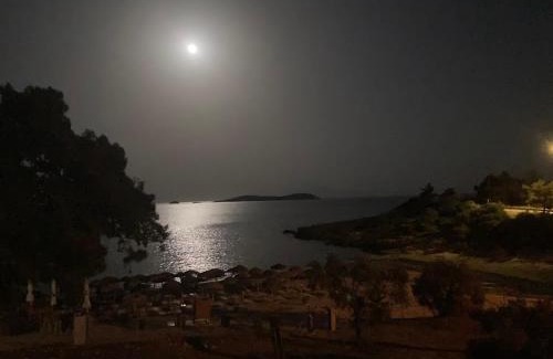 Thasos Appartement | Oliviera