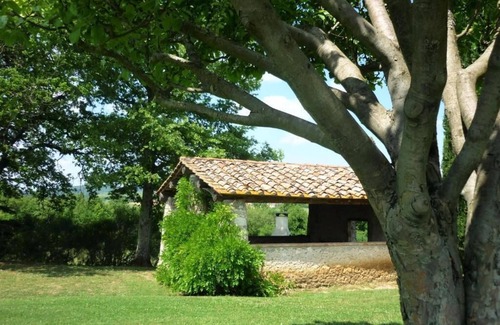 Colle di Val d'Elsa Appartement | "Olivo" appartement à "LA CASINA" en pleine campagne - Colle di Val d'Elsa - Entre Sienne et Florence