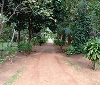 Kekirawa Maison | Olukaranda Walauwa