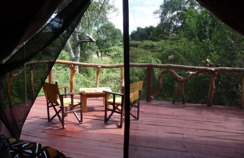 Maasai Mara Hôtel | Olumara Tented Camp