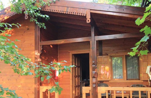 Olympos Hôtel | Olympos Paradise Hotel