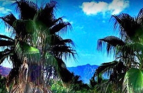 Olympos Hôtel | Olympos Paradise Hotel