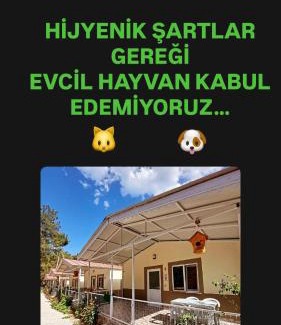Olympos Appartement | OLYMPOS YÖRÜK OTAĞI APART EVLERİ