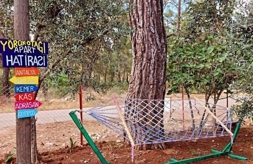 Olympos Appartement | OLYMPOS YÖRÜK OTAĞI APART EVLERİ