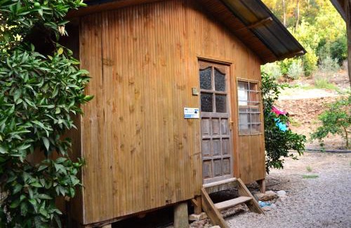 Olympos Station Balnéaire | Olympos Yakamoz Pansiyon