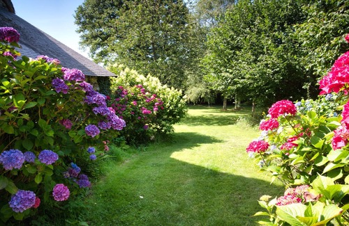 Perret Maison | Sur une propriété de 3h, au coeur de la foret les gites du lety vous attendent.