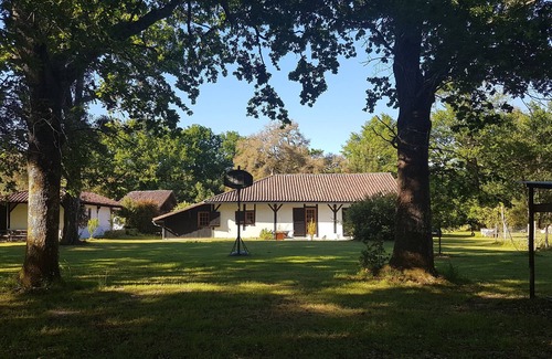 Azur Maison | Sur Airial landais de 8000 m², maison 6 pers., 3 ch