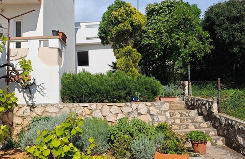 Stara Novalja Appartement | Appartement d'une chambre prés de la plage Stara Novalja, Pag (A-13938-b)