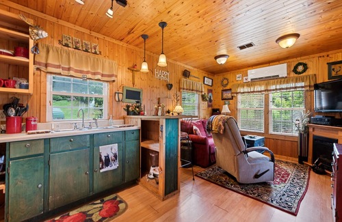Asheville Cabine | One Bedroom Cabin 43 Acre Retreat Pets OK-Fenced, Private, Views, Internet