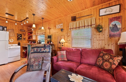 Asheville Cabine | One Bedroom Cabin 43 Acre Retreat Pets OK-Fenced, Private, Views, Internet