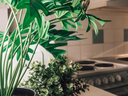 Jyvaskyla Appartement | One bedroom flat with free parking