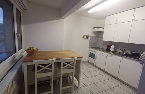 Uster District Appartement | One clean and cheap room in a quite flat
