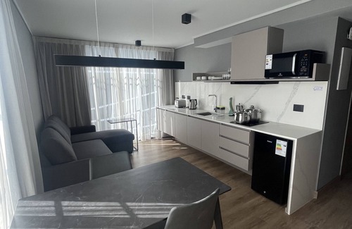 Apoquindo Appartement | ONE MANQUEHUE