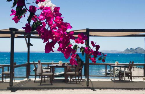 Turgutreis Hôtel | One More Day Hotel