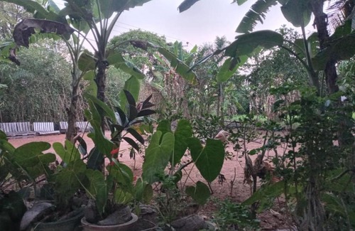 Sigiriya Maison | One More Night Homestay