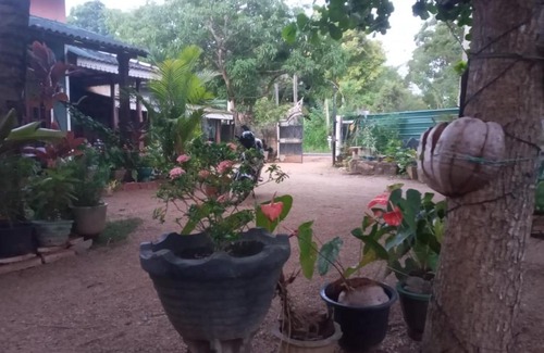 Sigiriya Maison | One More Night Homestay