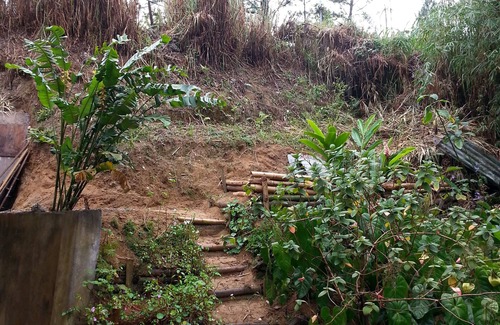 Trenchtown Cottage | *One Week RENT FREE* Blue Mountain Lofts from $50/Night