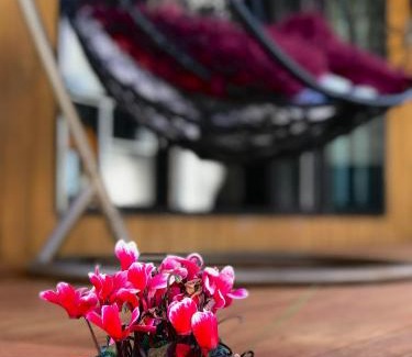Greenlane - Ellerslie Maison | Onehunga Garden Tinyhouse with parking