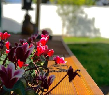 Greenlane - Ellerslie Maison | Onehunga Garden Tinyhouse with parking