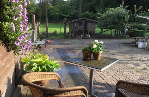 Bosgebied Hoenderloo Maison | Op Hoog Baarlo