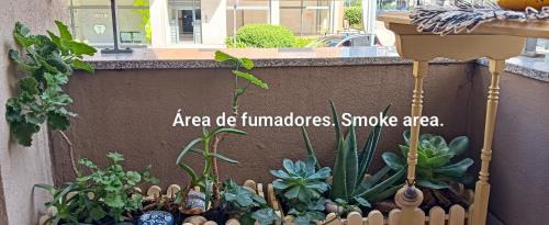 Lordelo do Ouro e Massarelos Appartement | Oporto Central Flat
