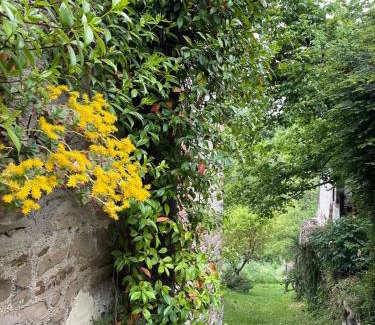 Orbregno Maison | Orbregno Country Houses with Personal Wine Cellar