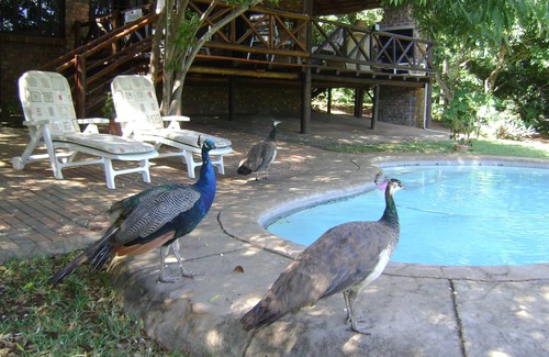 Komatipoort Appartement | Orchards Farm Cottages
