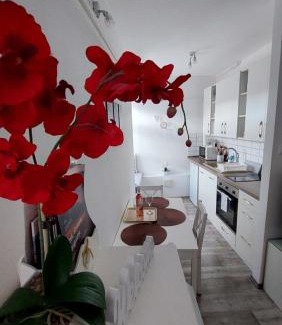Veszprem Appartement | Orchidea Veszprém Apartman
