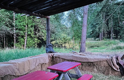 Oregon City Maison | Oregon Trail Covered Wagon by the Creek