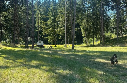 Oregon City Maison | Oregon Trail Covered Wagon by the Creek