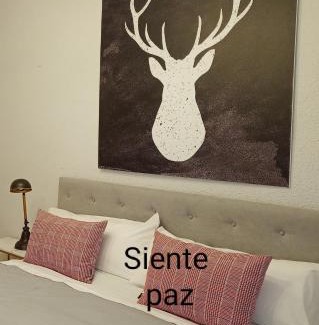 Biescas Appartement | Origen Pelaire excelente limpieza y ubicacion