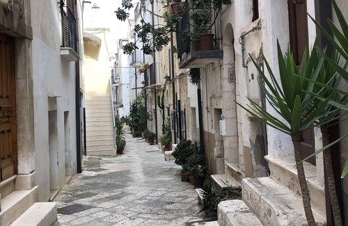 Conversano Appartement | Original dwelling totally made of stone and finely renovated. Pearl.