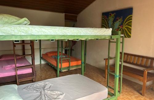 Puerto Jimenez Maison | OSA SURF House