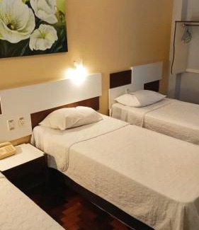 Centro Hôtel | Oscar Palace Hotel - Centro de Tubarão