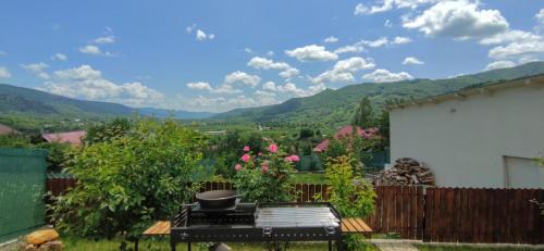 Nehoiu Villa | Oscar Residence