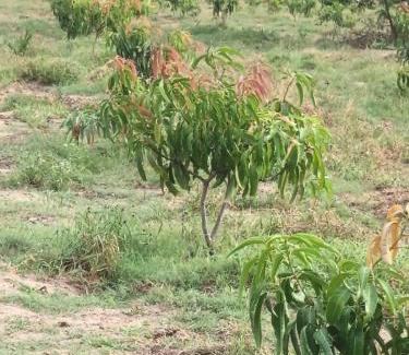 Welikanda Maison | OSHKI Farm and Holiday Resort