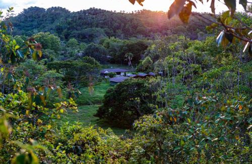 Sierpe Hôtel | Oso de Osa