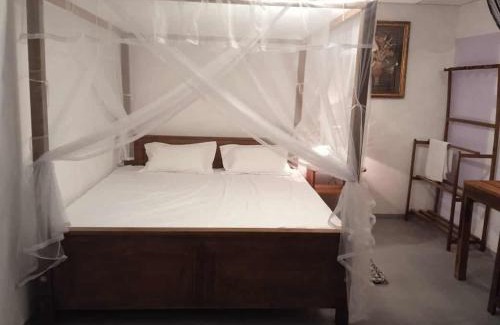 Ahangama Maison | Ostello Surf Resort