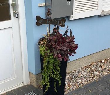 Wischuer Maison | Ostsee-Ferienhaus Colonia, Biendorf-Wischuer