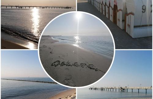 Gelbensande Appartement | Ostsee-Wiesenpieper (Graal-Müritz)