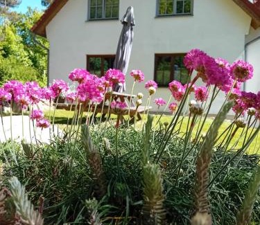 Steffenshagen Appartement | Ostwind - ferienwohnungen & meer