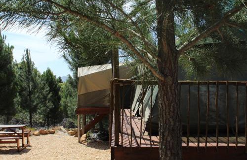 Caledon Autre | Otium Oasis Glamping & Camping