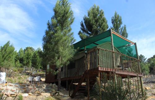 Caledon Autre | Otium Oasis Glamping & Camping