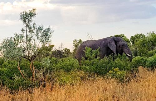 Hammanskraal Autre | OuKlip Game Lodge