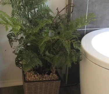 Beechina Maison | Our Little Hideaway Beechina