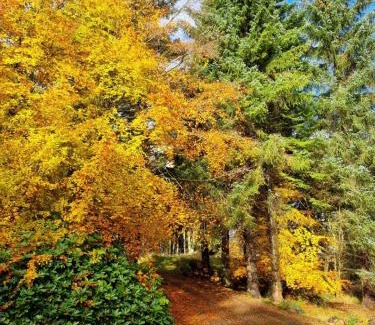 Blairgowrie Maison | Our Log House in the woods