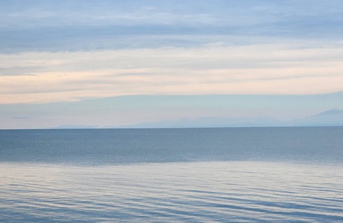 Forest Home Appartement | Our Sea Garden Suite faces the Caribbean and awaits you