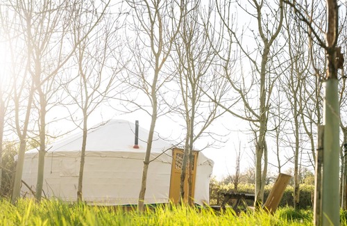 Winsley Cabine | Yertis - The Farm Camp